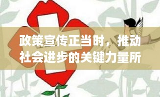 政策宣传正当时，推动社会进步的关键力量所在