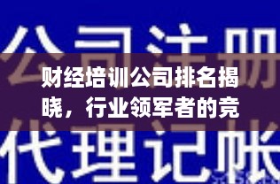 财经培训公司排名揭晓，行业领军者的竞争力洞察