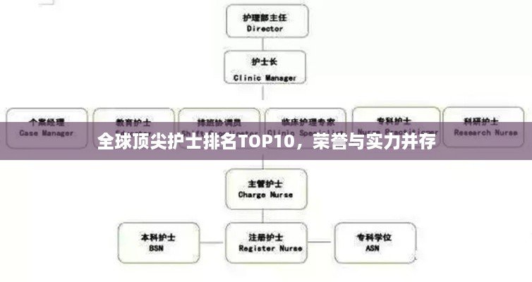 全球顶尖护士排名TOP10，荣誉与实力并存