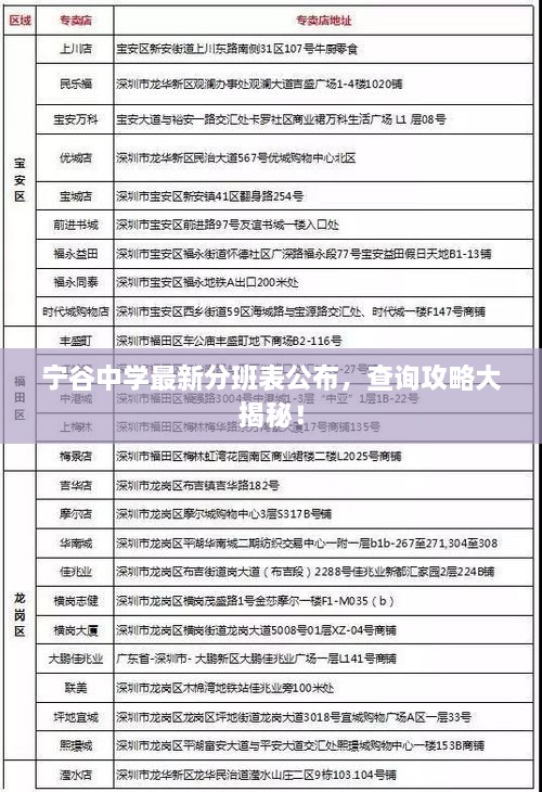 宁谷中学最新分班表公布，查询攻略大揭秘！