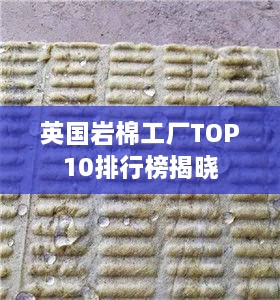 英国岩棉工厂TOP10排行榜揭晓