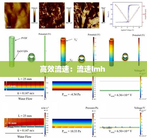 高效流速：流速lmh 