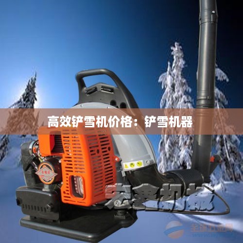 高效铲雪机价格：铲雪机器 