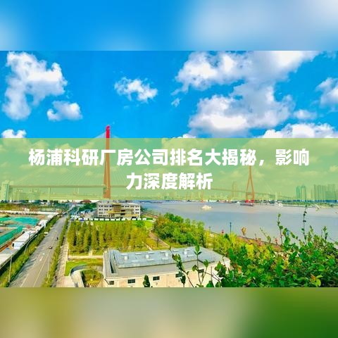 杨浦科研厂房公司排名大揭秘，影响力深度解析