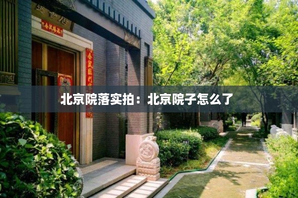 北京院落实拍：北京院子怎么了 