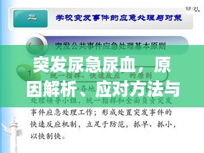 突发尿急尿血，原因解析、应对方法与预防策略