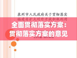 全面贯彻落实方案：贯彻落实方案的意见 