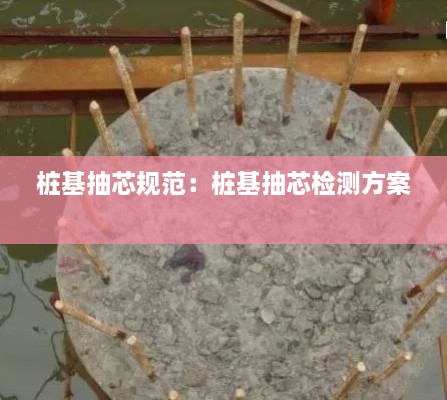 桩基抽芯规范：桩基抽芯检测方案 