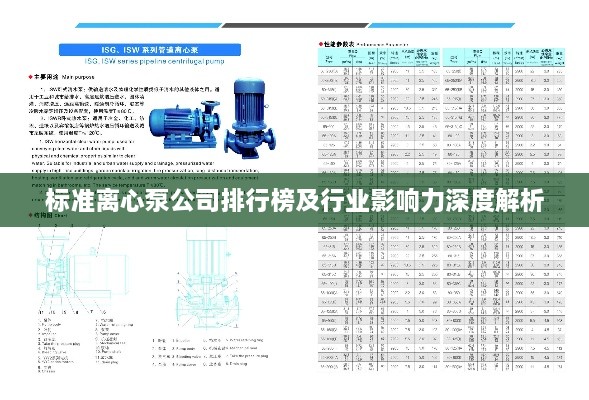 标准离心泵公司排行榜及行业影响力深度解析