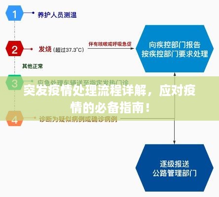 突发疫情处理流程详解，应对疫情的必备指南！