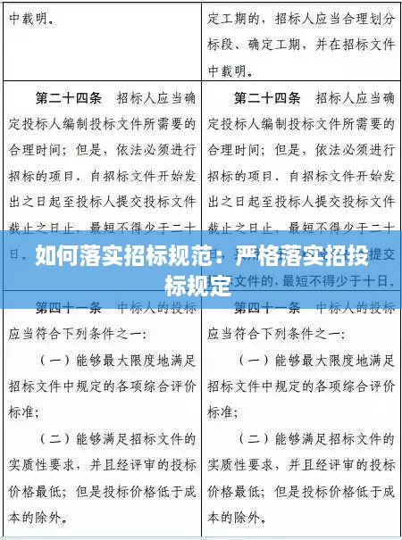 如何落实招标规范：严格落实招投标规定 