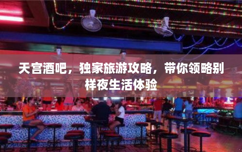 天宫酒吧，独家旅游攻略，带你领略别样夜生活体验