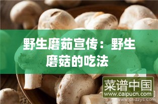 野生磨茹宣传：野生磨菇的吃法 