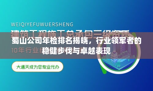 蜀山公司年检排名揭晓，行业领军者的稳健步伐与卓越表现