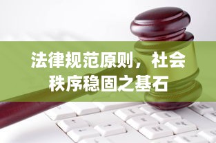 法律规范原则，社会秩序稳固之基石