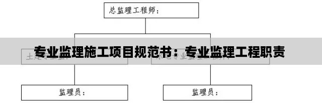 专业监理施工项目规范书：专业监理工程职责 