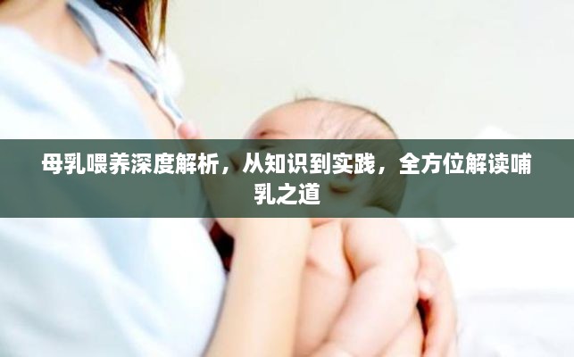 母乳喂养深度解析，从知识到实践，全方位解读哺乳之道