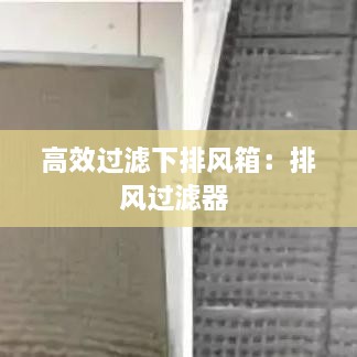 高效过滤下排风箱：排风过滤器 