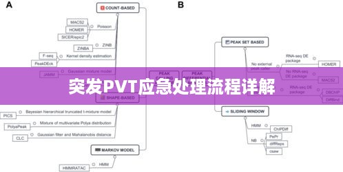 突发PVT应急处理流程详解