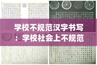 学校不规范汉字书写：学校社会上不规范使用汉字的情况 