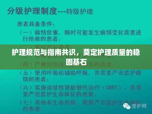 护理规范与指南共识，奠定护理质量的稳固基石