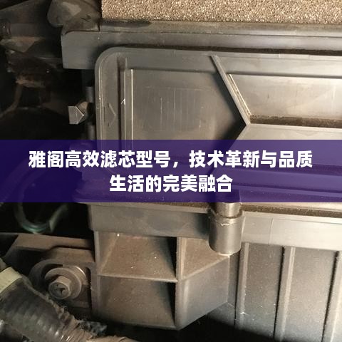 雅阁高效滤芯型号，技术革新与品质生活的完美融合