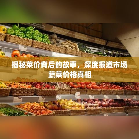 揭秘菜价背后的故事，深度报道市场蔬菜价格真相