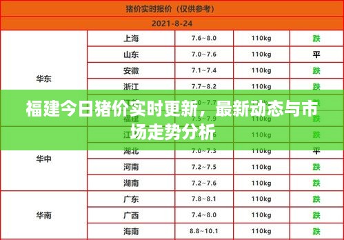 福建今日猪价实时更新，最新动态与市场走势分析