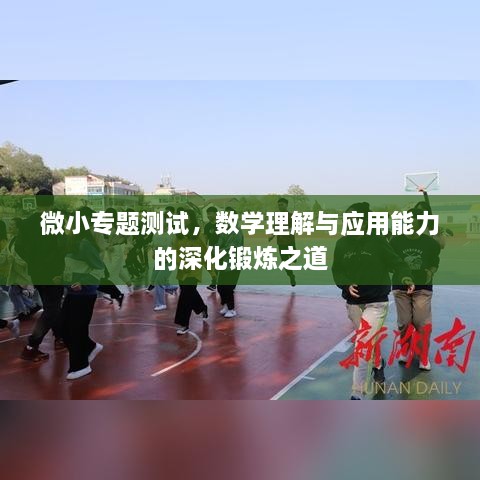 微小专题测试，数学理解与应用能力的深化锻炼之道