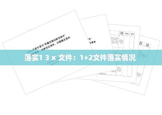 落实1 3 x 文件：1+2文件落实情况 