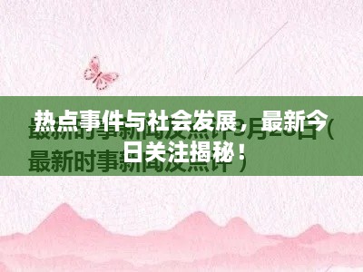 热点事件与社会发展，最新今日关注揭秘！