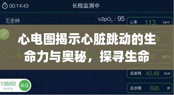 心电图揭示心脏跳动的生命力与奥秘，探寻生命之波的奥秘