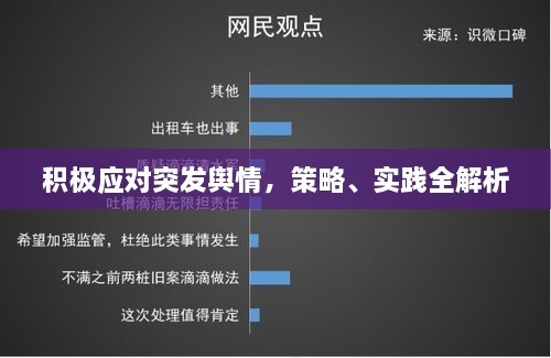 积极应对突发舆情，策略、实践全解析