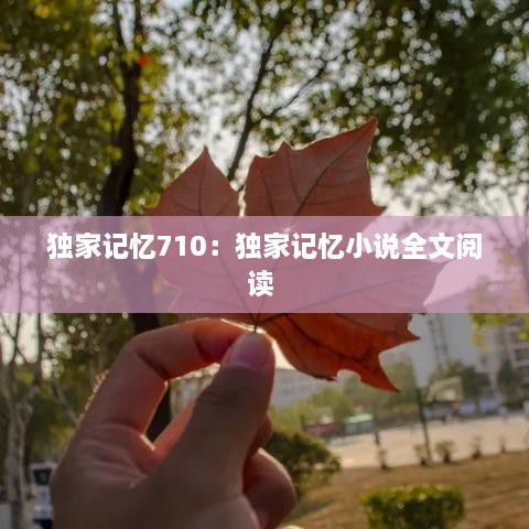 独家记忆710：独家记忆小说全文阅读 