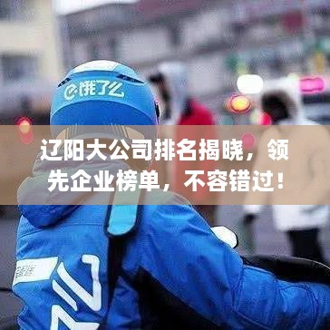 辽阳大公司排名揭晓，领先企业榜单，不容错过！