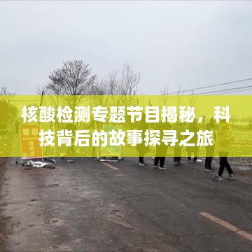 核酸检测专题节目揭秘，科技背后的故事探寻之旅