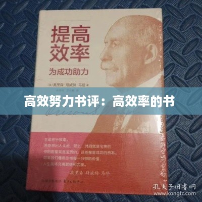 高效努力书评：高效率的书 