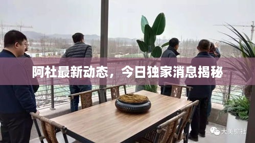 阿杜最新动态，今日独家消息揭秘