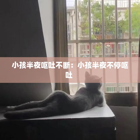 小孩半夜呕吐不断：小孩半夜不停呕吐 