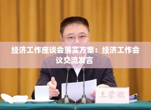 经济工作座谈会落实方案：经济工作会议交流发言 