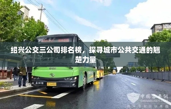 绍兴公交三公司排名榜，探寻城市公共交通的翘楚力量