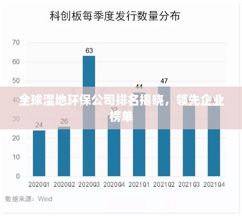 全球湿地环保公司排名揭晓，领先企业榜单