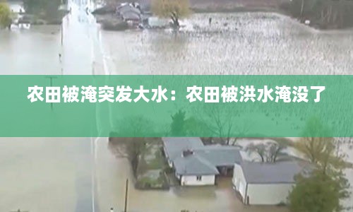 农田被淹突发大水：农田被洪水淹没了 