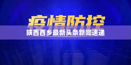 陕西西乡最新头条新闻速递