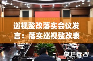 巡视整改落实会议发言：落实巡视整改表态发言 