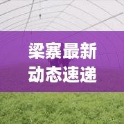 梁寨最新动态速递，一览掌握最新消息