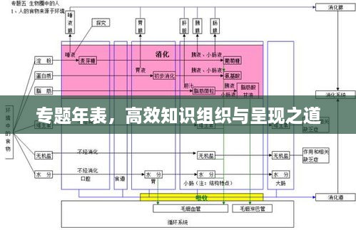 专题年表，高效知识组织与呈现之道