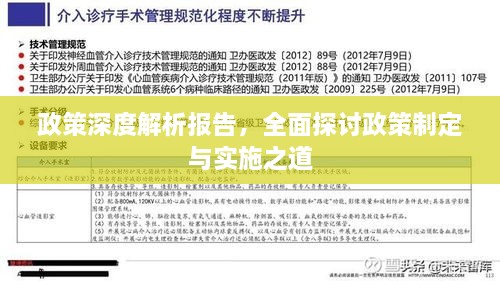 政策深度解析报告，全面探讨政策制定与实施之道