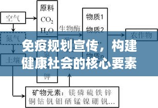 免疫规划宣传，构建健康社会的核心要素