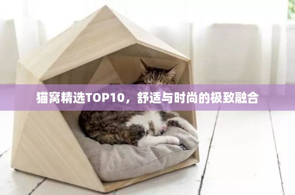 猫窝精选TOP10，舒适与时尚的极致融合